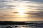 images/album/landscapes and nature/13.jpg